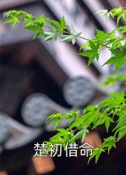 顛婆穿書，係統：壞了衝我來的